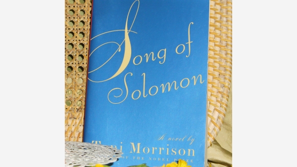 Pair Books - Song of Solomon and A Mercy - Quality Paperbacks
