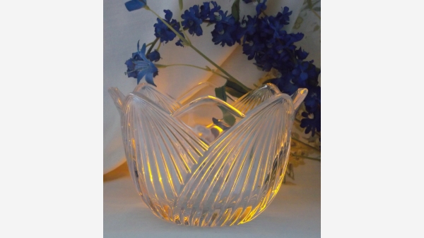 Weighty and Generous-Sized Crystal Tulip Hurricane