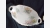 Fine-Bone China Dishes