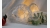 home-treasures.com Cut-Crystal Wheat-Grain Vase - Rim View Cut-Crystal Vase with Wheat-Grain Design - Scalloped Rim