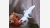 home-treasures.com - Loving Doves Figurine - Free Shipping!