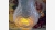 home-treasures.com - Fenton Collectible Ewer - Surface Pattern home-treasures.com - Fenton Satin-Glass Ewer - Free Shipping!
