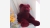 Teddy the Beanie Baby Stuffed Bear - Rare Cranberry Color - Free Shipping!