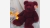 Teddy the Beanie Baby Stuffed Bear - Rare Cranberry Color - Free Shipping!