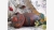 home-treasures.com - Nicaraguan Artisan Pottery - A Lovely Gift! Handcrafted Nicaraguan Pottery - Warm Tones and Rich Patterns - Free Shipping!