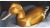 Wood painted duck decoy