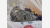 home-treasures.com Stoneware Goose Figurine Cottage-Style Goose Figurine - Free Shipping!