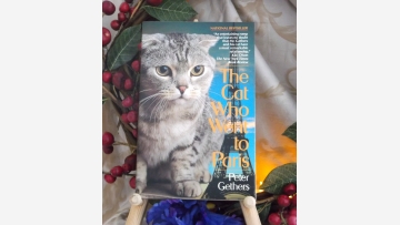 Book: Cat in Paris - A Fun Gift! - Free Shipping!