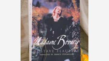 Flaubert: "Madame Bovary" - Handsome Edition - Free Shipping!