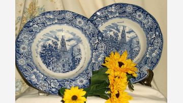 Elegant Staffordshire Soup Bowls - Set of Two - Free Shipping!