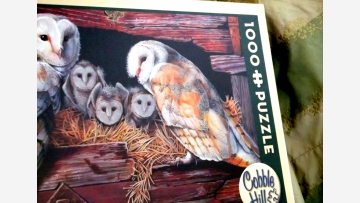 New Jigsaw Puzzle - Barn Owls - Free Shipping!